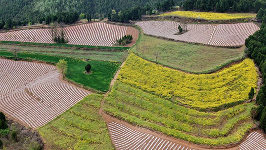 两部门明确农村集体产权制度改革土地增值税政策