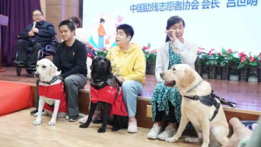 北京市盲人-🔥金沙检测线路js69举行国际导盲犬日公益活动